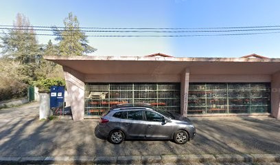Saskia Cheval, Centre Equestres à Lyon 09
