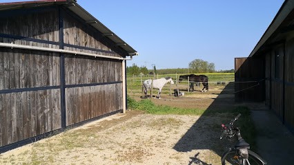 Pony Club De Montech, Centre Equestres à Montech