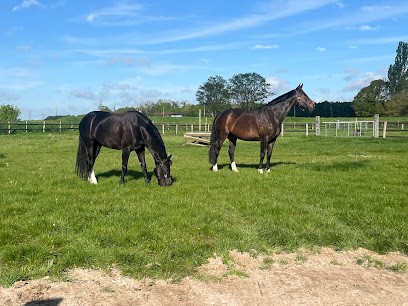 Les Écuries De Saint-Fargeau, Centre Equestres à Saint-Fargeau-Ponthierry