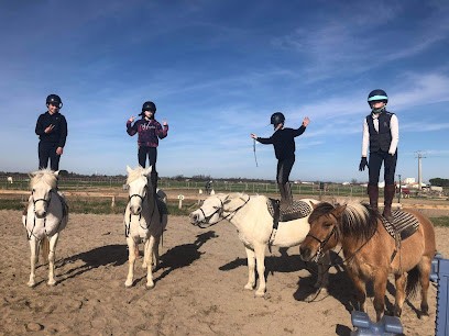 Ecole D Equitation De La Roselière, Centre Equestres à Saint-Laurent-d'Aigouze