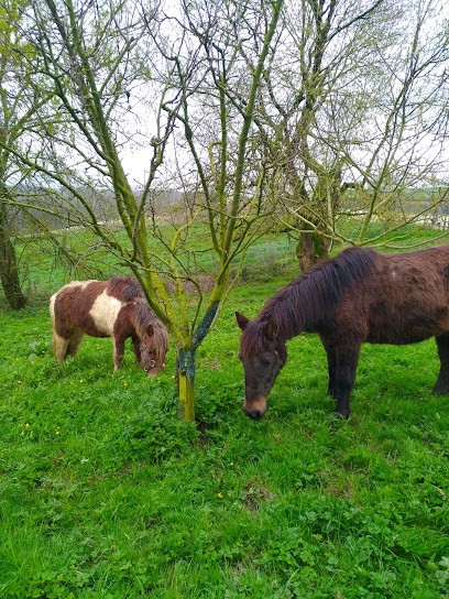 Pony Club Des 3 Collines, Centre Equestres à Couloumé-Mondebat