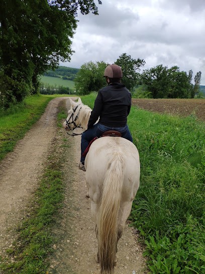 CavaLendou : Randonnées équestres, Centre Equestres à Lendou-en-Quercy
