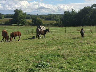 Ecurie du Fleuve, Centre Equestres à Quinsac