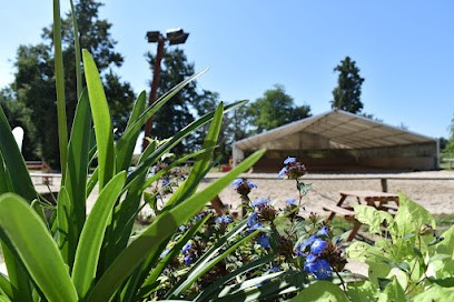 Ecurie Quentin, Centre Equestres à Saint-Sulpice-et-Cameyrac