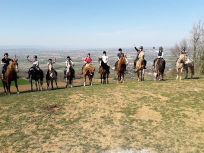 Centre Equestre Des Monts D'Or, Centre Equestres à Lissieu