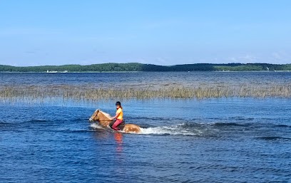 Lacanau Equi-Passion, Centre Equestres à Lacanau
