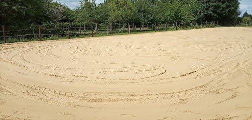 Ecurie De Propriétaire A Gouttières, Pension pour Chevaux à Mesnil-en-Ouche