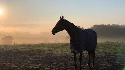 Écurie De Serres, Centre Equestres à Soumensac