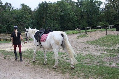Centre équestre De Trigny Bois Du Vivier, Centre Equestres à Trigny