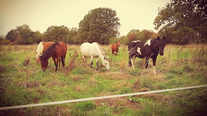 Les Grangers, Centre Equestres à Saint-Août