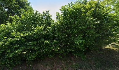 Equi-Vosges, Centre Equestres à Saulcy-sur-Meurthe
