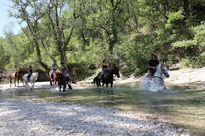 Haras De Saumelongue, Centre Equestres à Entrechaux