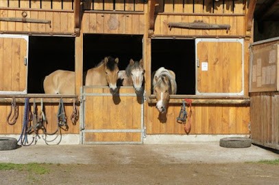 Les Ecuries De L'abbaye, Centre Equestres à Orbey