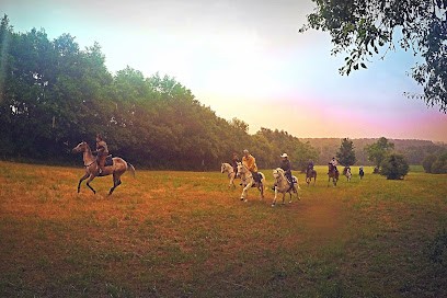 Le Ranch Des Grands Soleils, Centre Equestres à Pommeuse