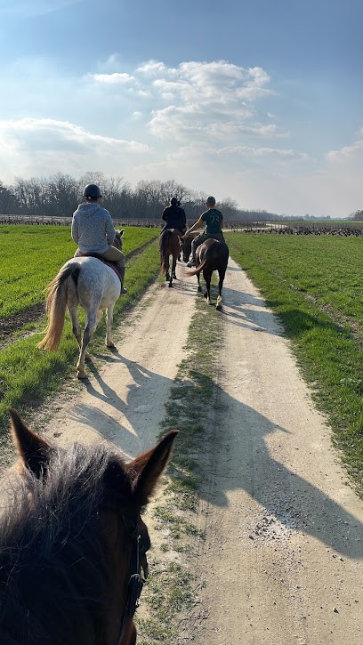 Stables La Clé Des Champs, Centre Equestres à Francueil