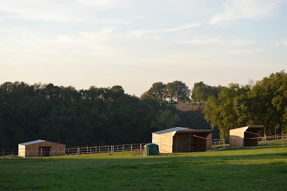 Ecurie du Pialoux, Centre Equestres à Dénat