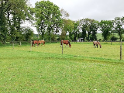 Ecuries du Domaine de la Bignone, Pension pour Chevaux à Plumergat