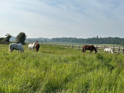 Les Écuries De Crémonville, Centre Equestres à Val-de-Reuil