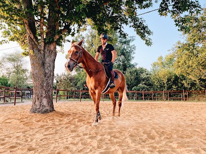 Ecurie Bluzet, Centre Equestres à Samadet