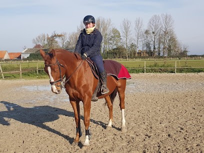 Ecurie Des Freneaux, Centre Equestres à Petit-Caux