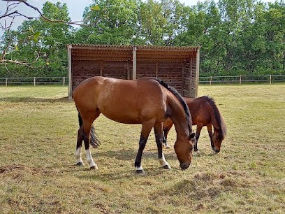 Charlotte Romon Équitation, Centre Equestres à Menville