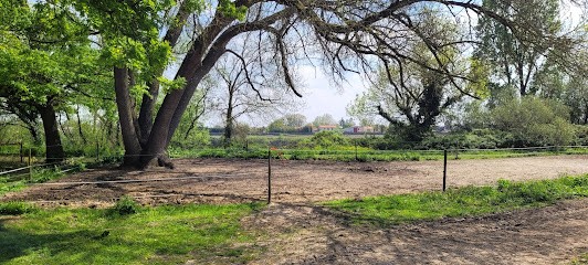 Stables Haut Bois, Centre Equestres à Saint-Julien-de-Concelles