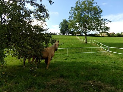 Caval'aise, Pension pour Chevaux à Novalaise