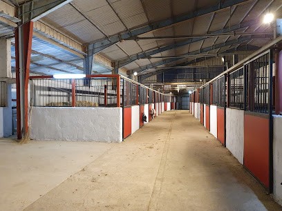 Les Ecuries de Lansargues, centre equestre, Centre Equestres à Lansargues