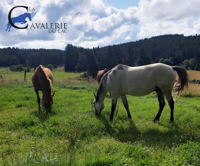 La Cavalerie Du Lac, Centre Equestres à Sembadel