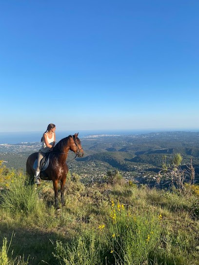 Ranch Des Baous, Centre Equestres à Tourrettes-sur-Loup