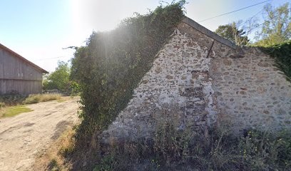SCEA Haras de La Bruyère, Pension pour Chevaux à Palaiseau