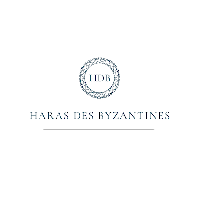 Haras Des Byzantines Pension Pour Chevaux à Bazainville