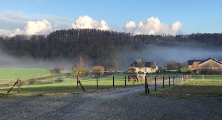 Ecuries New World Horses, Pension pour Chevaux à Héricourt-en-Caux