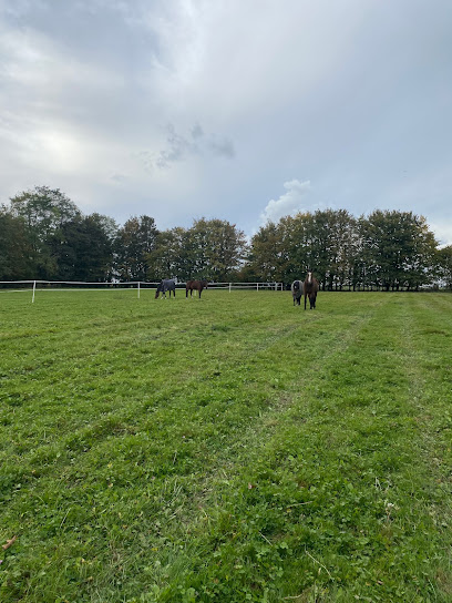 Haras Des Magnolias, Pension Pour Chevaux à Frenelles-en-Vexin
