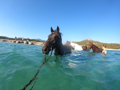 A PADOLLA CHEZ PIERRE, Centre Equestres à Pianottoli-Caldarello