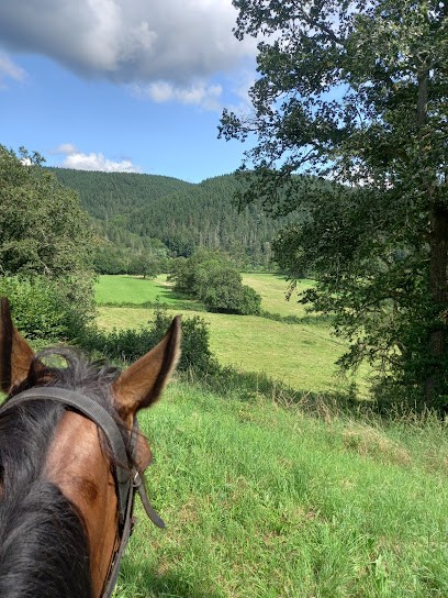 A Hue and A Dia, Centre Equestres à Sommant