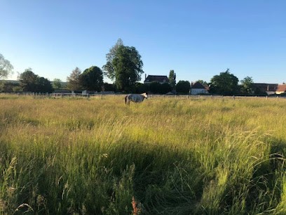 Les Ecuries d'Elixir, Pension pour Chevaux à Pontigny