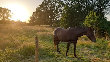 Stables Les 2 Rives, Pension pour Chevaux à Crossac
