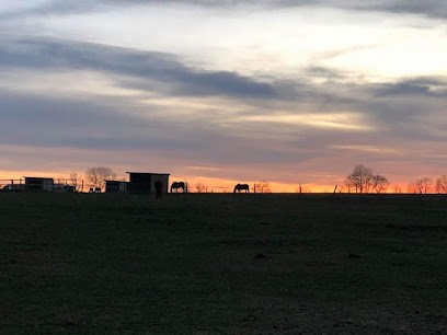 Stables Du Préfontaine, Centre Equestres à Saint-Georges