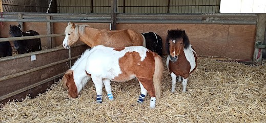ECURIE DU PEUPLIER, Centre Equestres à Vendegies-au-Bois