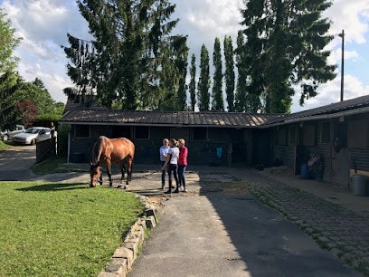 Haras De Sainte-Gemme, Centre Equestres à Feucherolles