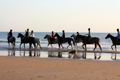 EQUESTRIAN CENTER AIROTEL, Centre Equestres au Château-d'Oléron