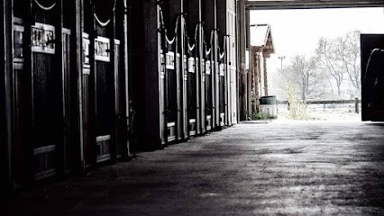 Equestrian Space De Mazerolles, Centre Equestres à Saint-Mars-du-Désert