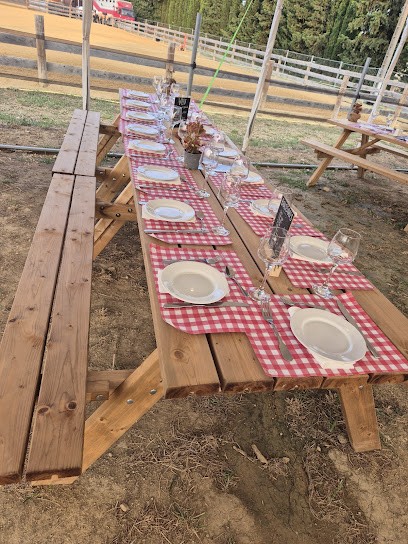 Slacy Ranch - Écuries Pension Chevaux - Loisirs Equestres, Pension pour Chevaux à Saint-Hilaire-de-Brethmas