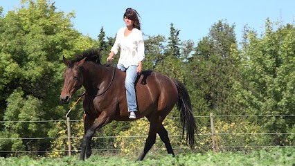 Horsewoman Trip, Centre Equestres à Lançon-Provence