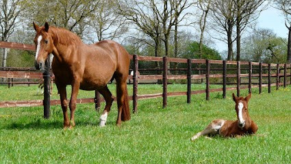 Ecuries De La Maugardais, Pension pour Chevaux à Pléneuf-Val-André