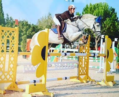 Écuries du Thor, Pension pour Chevaux à Oraison