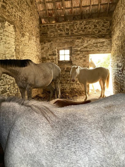 Ferme Équestre De La Vallée, Pension pour Chevaux à Sartilly-Baie-Bocage