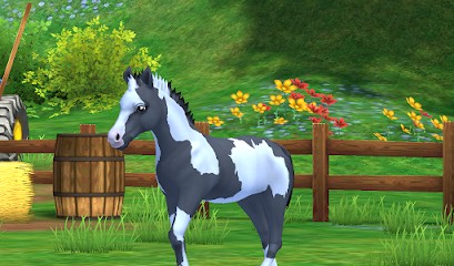 EARL Horse farm of Devil's Bridge, Centre Equestres à Crouzet-Migette