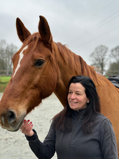 Le Domaine Des Équi'prés Pension Pour Chevaux à Montigné-le-Brillant